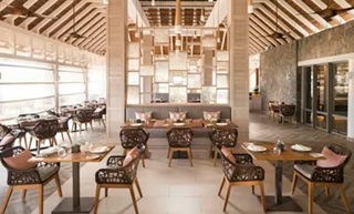 Constance Le Chaland