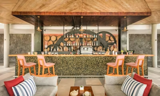 Constance Le Chaland