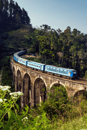 Ride the Scenic Train to Ella